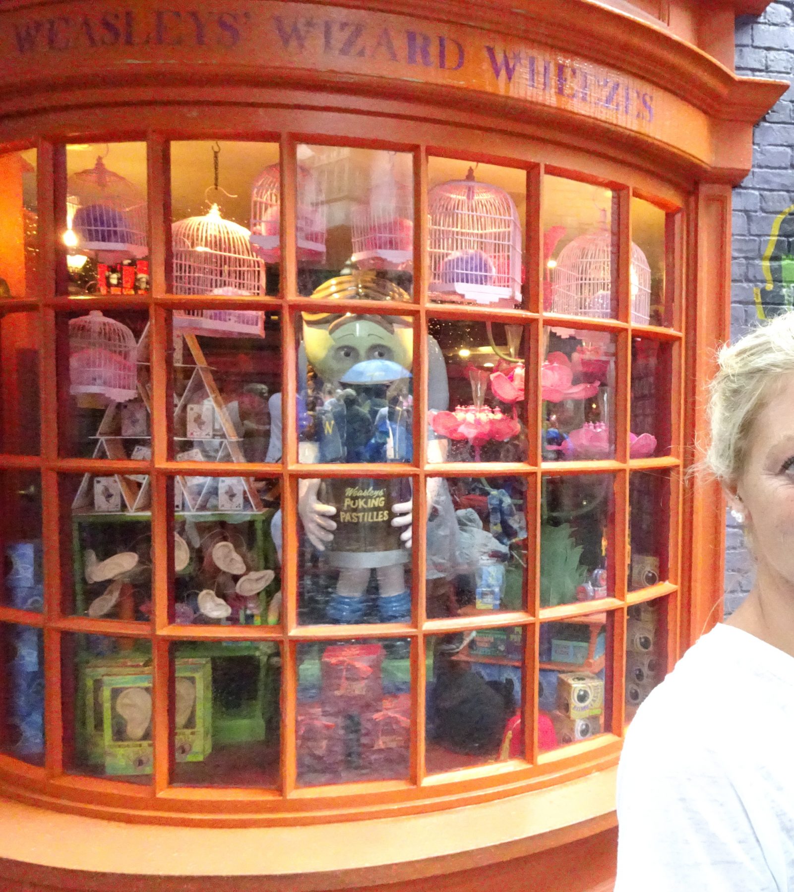Harry Potter in Orlando Applethree Food Travel Games